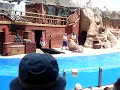 Focaa
