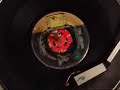 al-wilson-the-snake-stereo.html