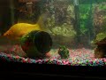 My Rainbow