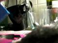 videos de Tink bufftest