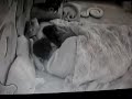 Thati e Marc�o - Video 1 Parte 2