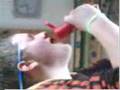 The Ketchup Tape