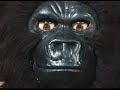 Rock-afire Explosion- The MOVIE- Updated 6/26/08