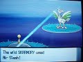 We haven't had a shiny patch video in a while now. Now here it is! Sorry for the distracting barking from my dog around the time I threw the second dusk ball.Anyways...enjoy!P.S. I didnt hack i needed celebi/jirachi... the stuff you cant get without events and if i did hack why wouldn't i have put it in a different place?