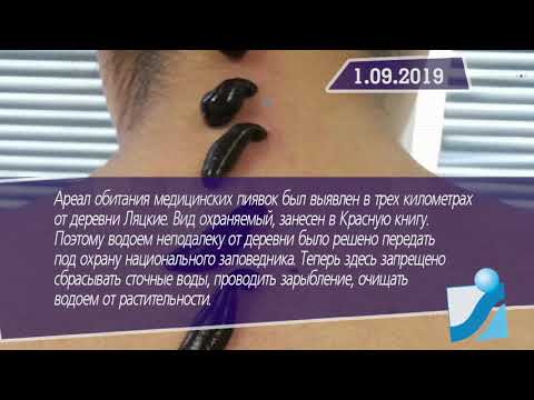 Новостная лента Телеканала Интекс 01.09.19.