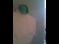 phildiol's video