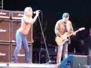 Iggy and the Stooges Iggy and the Stooges