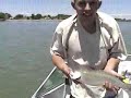 Jackson Lake Fishing