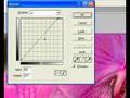 Color Enhancement & Sharpening in Photoshop - Part 1