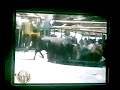 mujer-pillada-en-bog