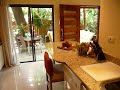 Our Tropical paradise is a brand new condo resort consisting of 4 homes in a gated secure environment one minute walk to the ocean and 5 minute walk to the Bahia del Sol Beach front Hotel. Offering approx 1600 sq ft on two floors, 2 bedrooms 2 baths. Each bedroom offers a private sundeck where you can pass the time away on the day beds. The master bedrooms offers floor to ceiling 14 feet high double sliding glass doors, wake up to the sounds of the ocean, howler monkeys and green parrots. The main floor features floor to ceiling windows open to the gardens, white porcelain tiles, the fully equipped kitchen features granite counter top and a breakfast bar and laundry facilities . Our private patio and gardens are furnished with large teak dinning room table and a 4pc sectional sofa and gas barbecue all great for dining or lounging. The communal rancho is great for meeting up with visiting guests and sharing stories of the days events. Cristal clear waters in our pool and spa, sundeck with over stuffed pillows. Iguanas, geckos, butterflies, hummingbirds are all found within our very secured walled grounds. My favourite past time each morning-----A fresh cup of Costa Rican coffee while walking on the meandering elevated boardwalk through the gardens, I'm always amazed with the large varieties of tropical flowers. I still find new ones I've never seen before. In addition our boutique orchard has Mangos, Papaya, coconuts, bananas, limes, lemons, naranjas, guava, and of course <b>...</b>