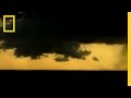 Struck by Lightning