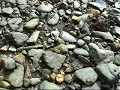 Capercaillie - Eastern Reel