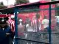 llegada chivas