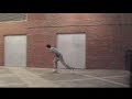 matrix wallflips part1 matrix wallflips part1