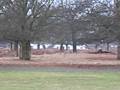 videos de MVI 0058