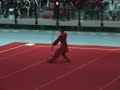 taiji jian euros'06