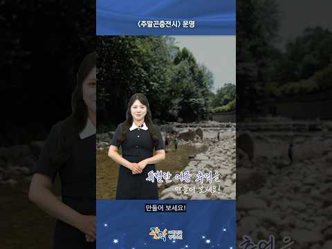 관악산공원 물놀이 후 아이들과 '여기' 꼭 가보세요! 살아있는 곤충을 만나는 [주말곤충전시] 운영 중 - 관악 별별뉴스 이미지
