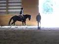 Cayleigh and Raven Dressage Clinic 2007