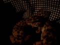 videos de My Leopard geckoes-Squirt and Spike