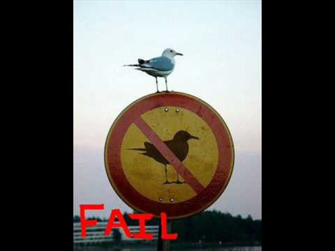 BMX VIDEOS, BIKES, TRICKS, STUNTS, CRASHES