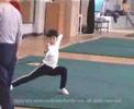 chinese wushu