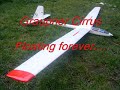 radio controlled cirrus - Graupner Cirrus