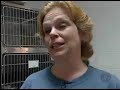 interspecies mothers: happy mothers day