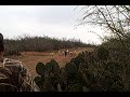 Texas Dall Ram Hunt   BOWKILL!!!!