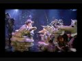 videos de 04 Cats - The Old Gumbie Cat