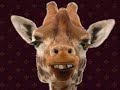 Mayton Place Avatar