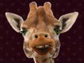 Mayton Place Avatar