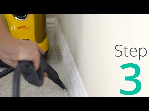 how to isolate bed bugs