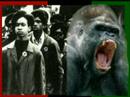 OTX West Sweeney DST Spring 08 \"The Black Panthers\" OTX West Sweeney DST Spring 08 \"The Black Panthers\"