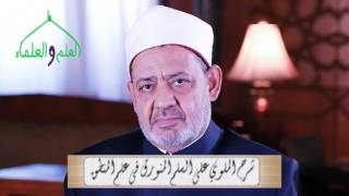 القضايا وأحكامها 19