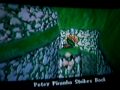 videos de Let's Play: Super Mario Sunshine! Part 26 Eight Red Coins In Paint Village