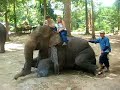 Getting on Elephant + Dale\ Getting on Elephant + Dale\