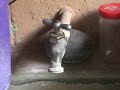 Falta de agua en San Salvador