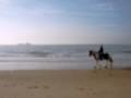 Strandrit met Guccio en Baggio deel 5
