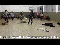 Henry - 15 week Golden Retriever - 7 Day Dog Boot Camp with Adolescent Dogs Guildford