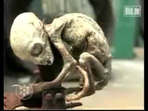 Video De Terror