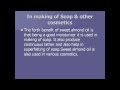 Five benefits of almond oil