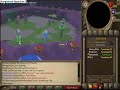 Painball Runescape Rando event