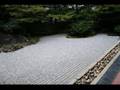 20070817_京都, Vivaldi 調和の霊感 第11番