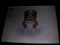 videos de Nintendogs Help and Advice: Advance/Combo Trick: Breakdance Part 4