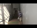 小林多喜二