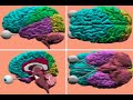 Audio Visual Perception Audio Visual Perception