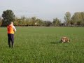 lasco zkovarny lasco zkovarny