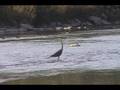 Assistir ao v�deo