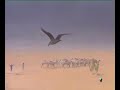 El arte emiral y califal en al-Andalus